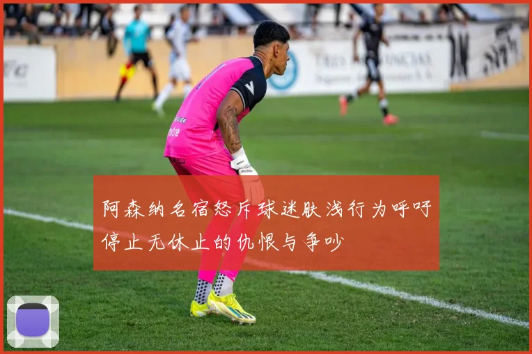 阿森纳名宿怒斥球迷肤浅行为呼吁停止无休止的仇恨与争吵