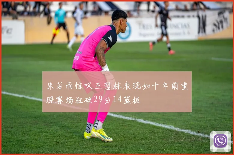 朱芳雨惊叹王哲林表现如十年前重现赛场狂砍29分14篮板